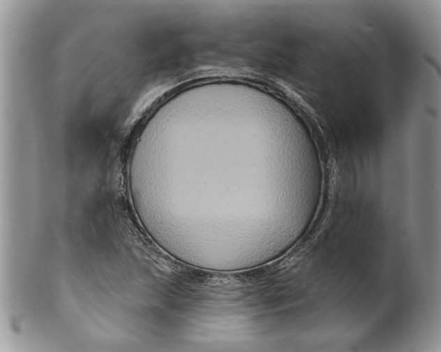 X0000099951215200806131440