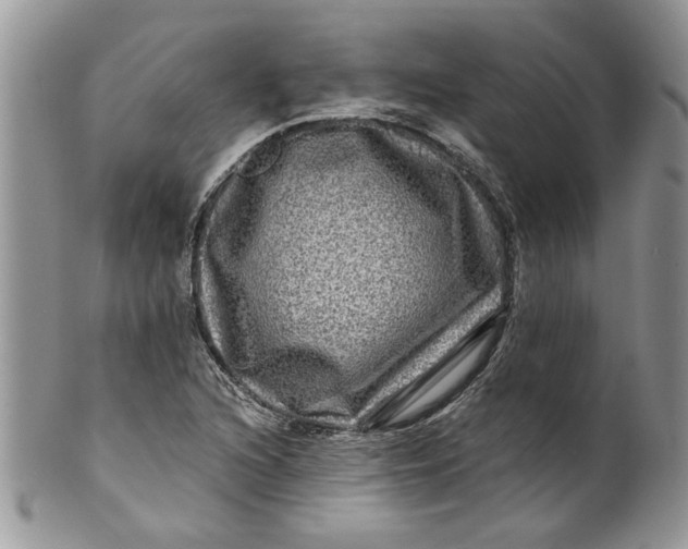 X0000099951216200806131440