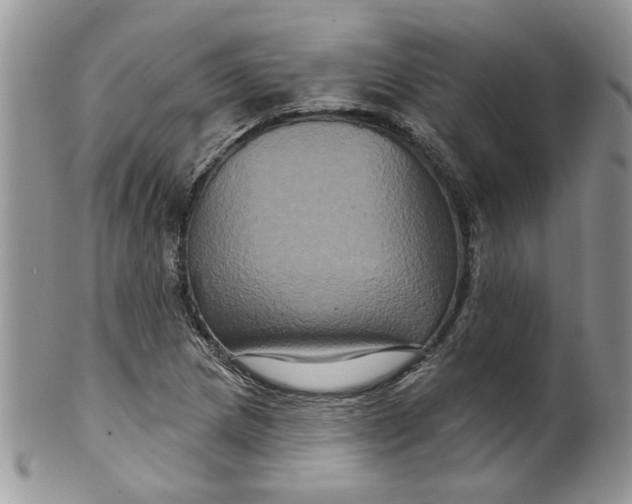 X0000099951217200806131440