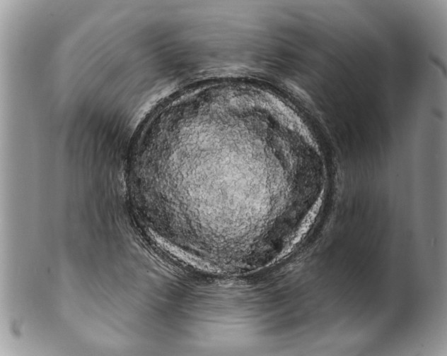 X0000099951218200806131440