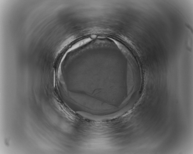 X0000099951219200806131440