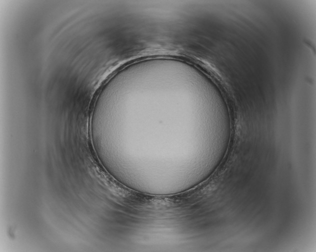 X0000099951220200806131440