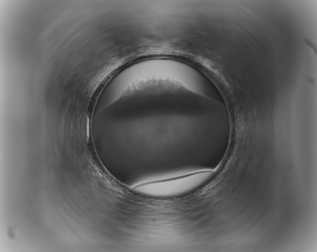 X0000099951221200806131440