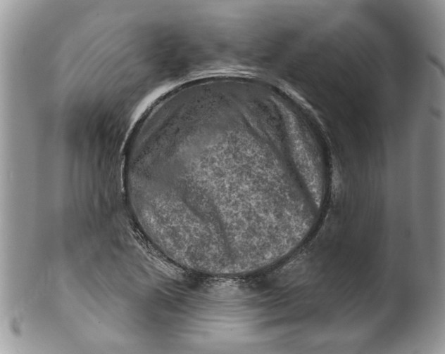 X0000099951222200806131440