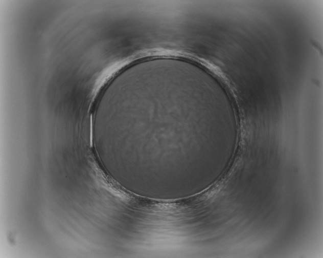 X0000099951223200806131440