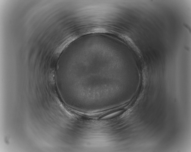 X0000099951225200806131440