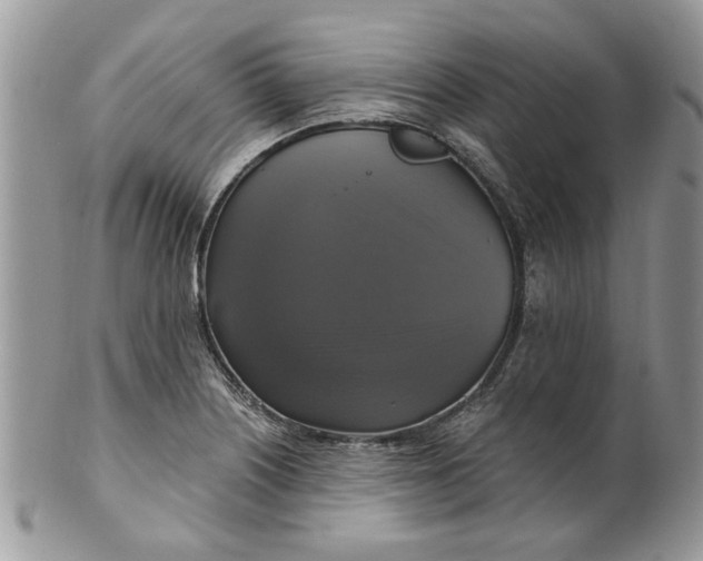 X0000099951226200806131440