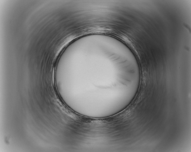 X0000099951227200806131440