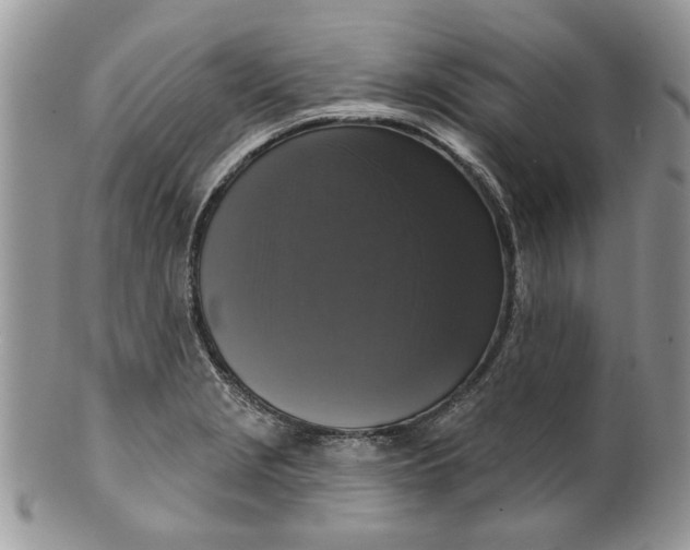 X0000099951229200806131440