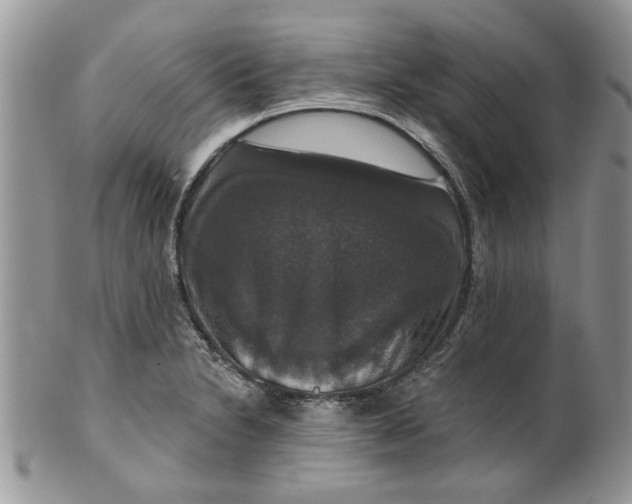 X0000099951230200806131440