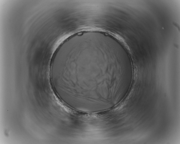 X0000099951231200806131440