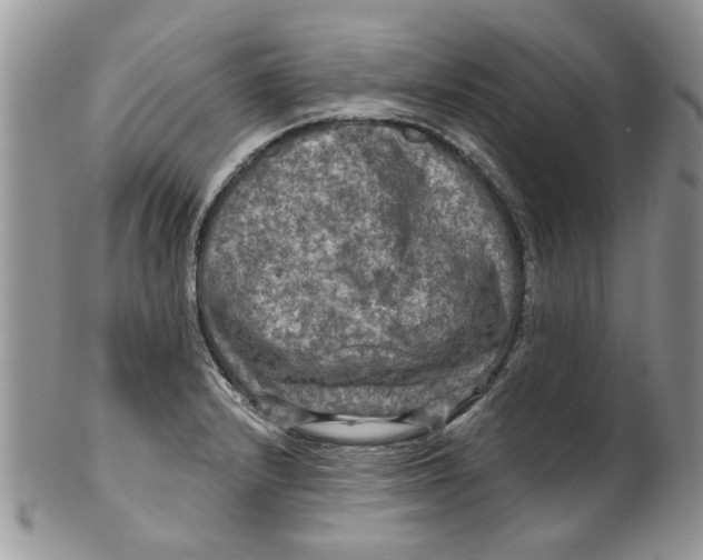 X0000099951232200806131440