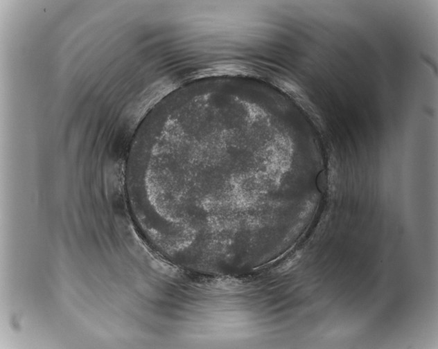 X0000099951233200806131440