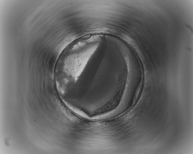 X0000099951234200806131440