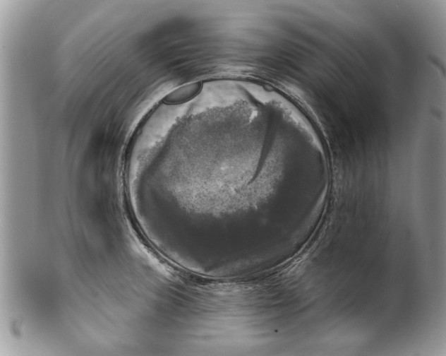 X0000099951235200806131440