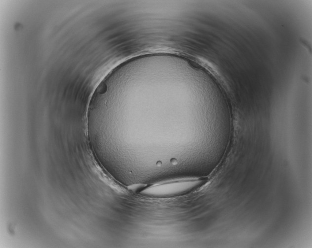 X0000099951236200806131440