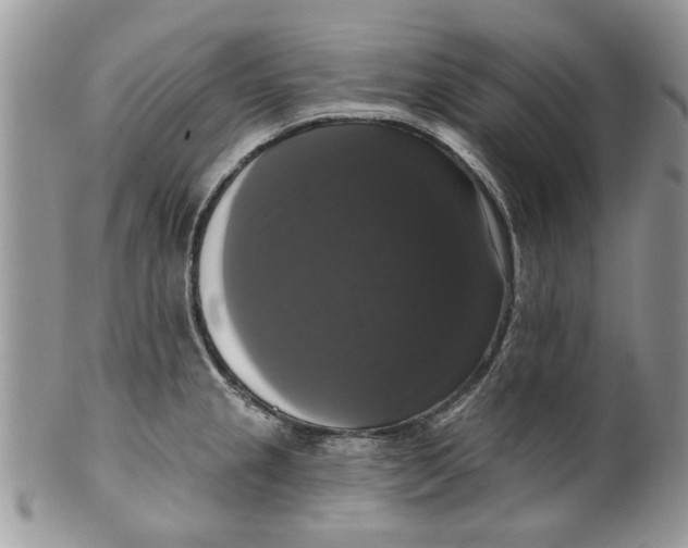 X0000099951237200806131440