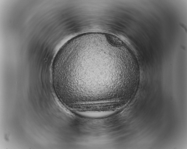 X0000099951238200806131440