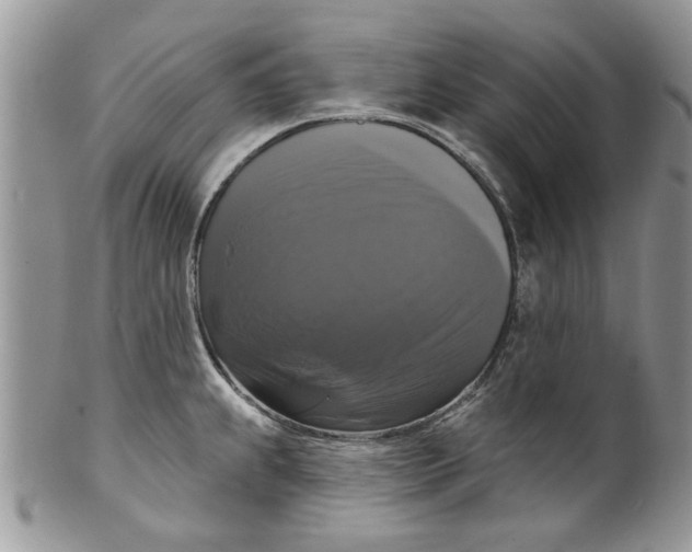 X0000099951239200806131440