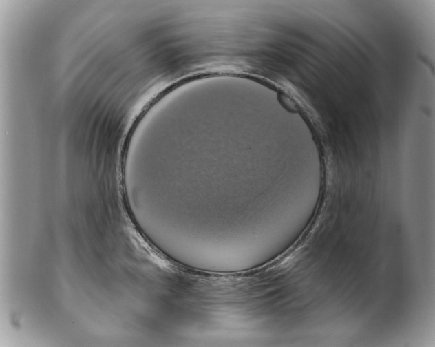 X0000099951240200806131440