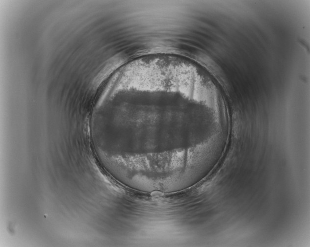 X0000099951241200806131440