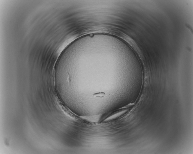 X0000099951242200806131440