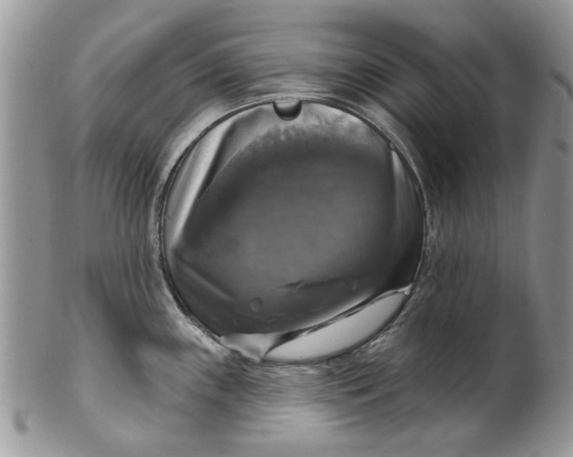 X0000099951243200806131440