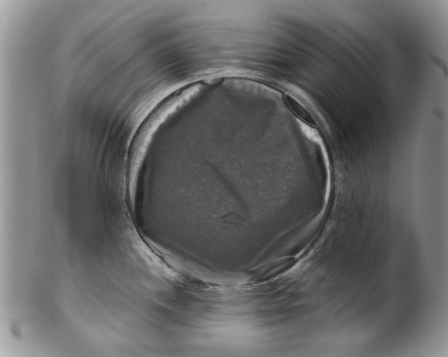 X0000099951244200806131440