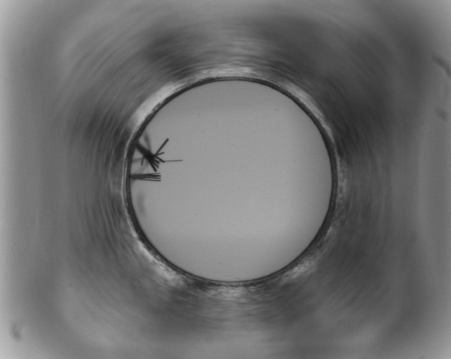 X0000099951245200806131440