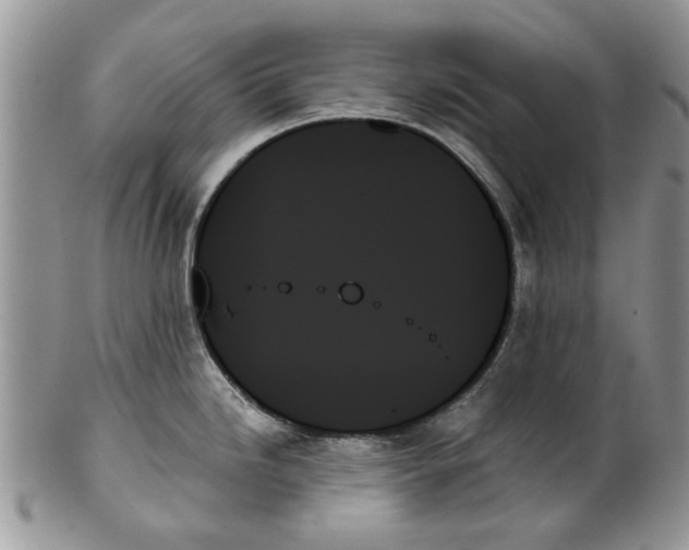 X0000099951246200806131440