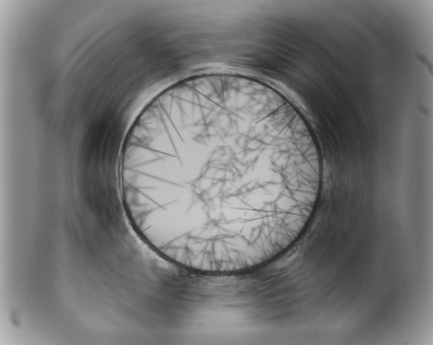 X0000099951247200806131440