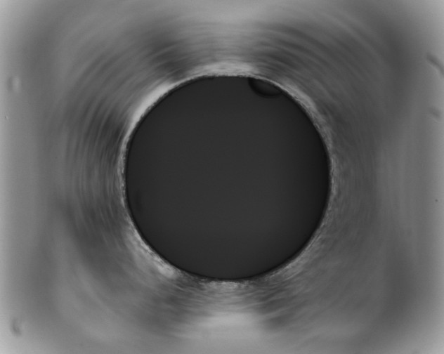 X0000099951248200806131440