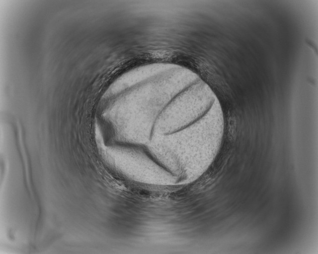 X0000099951249200806131440