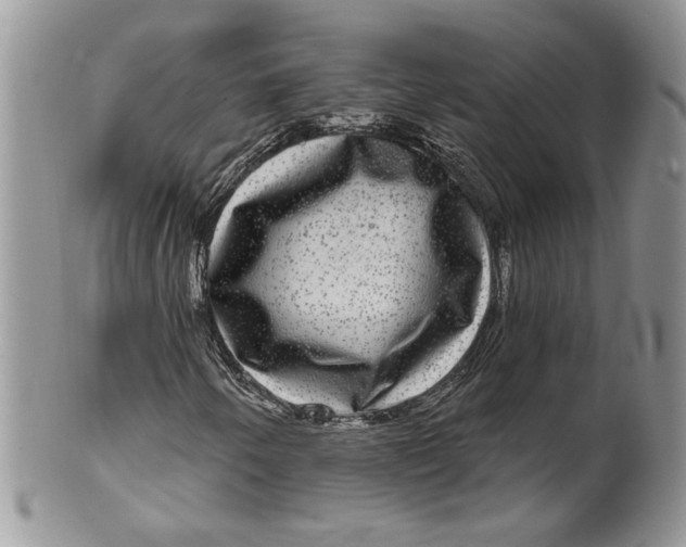 X0000099951250200806131440