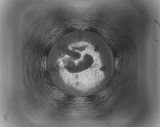 X0000099951251200806131440