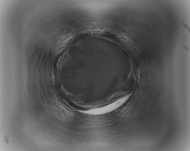 X0000099951252200806131440