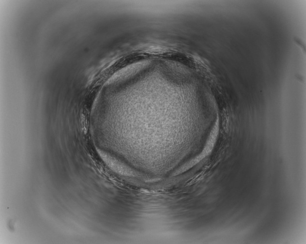 X0000099951253200806131440