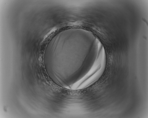 X0000099951254200806131440