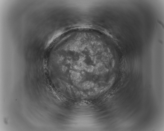 X0000099951255200806131440