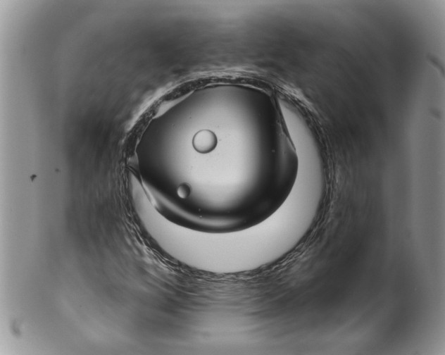 X0000099951256200806131440