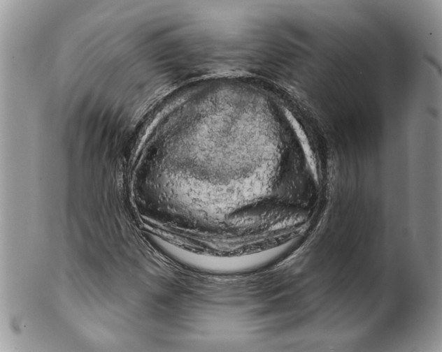 X0000099951257200806131440