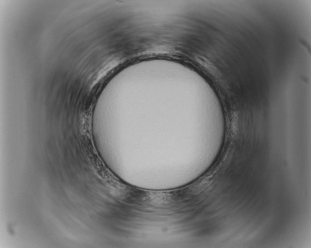 X0000099951258200806131440