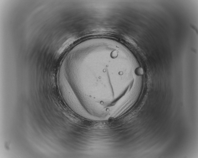 X0000099951259200806131440