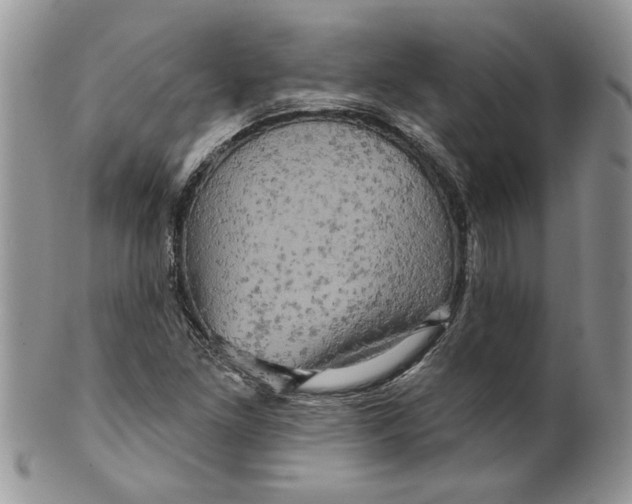 X0000099951261200806131440