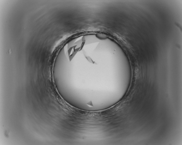 X0000099951262200806131440