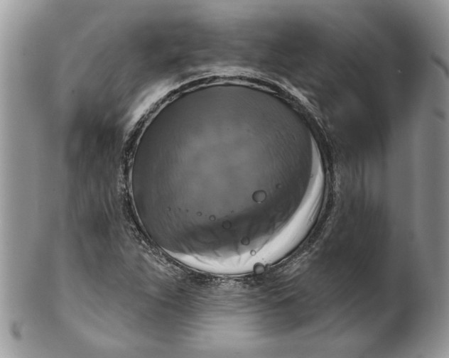 X0000099951263200806131440