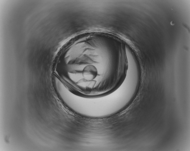 X0000099951264200806131440