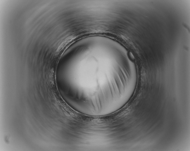 X0000099951265200806131439