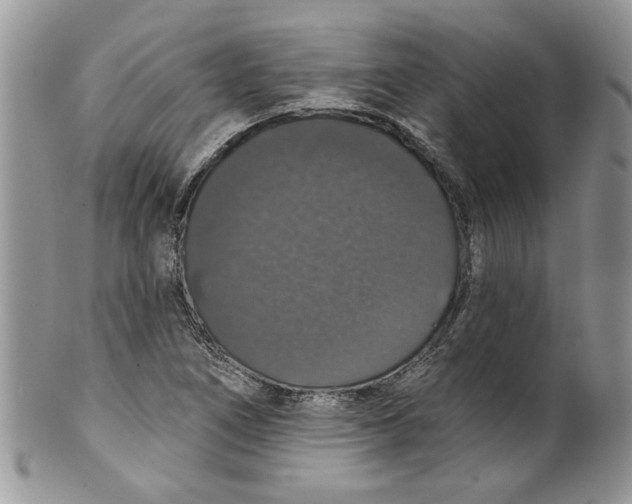 X0000099951266200806131439