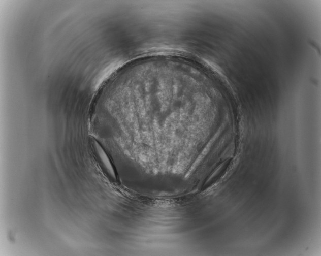 X0000099951267200806131439